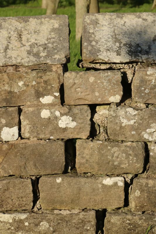 Stone Wall Repair in Watauga County, NC